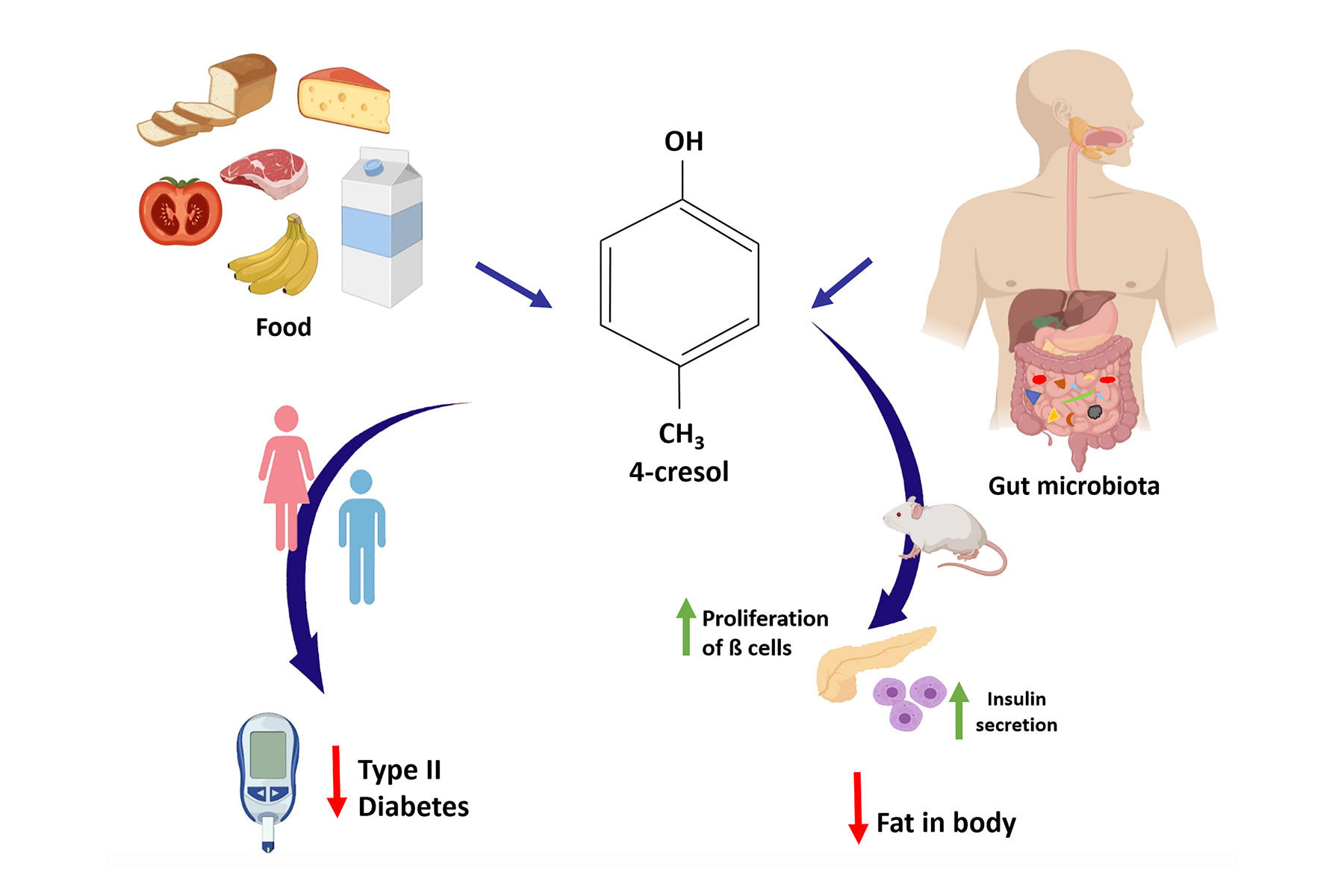 diabetes-effects